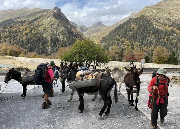 Casa de Férias Domaine De Monda *